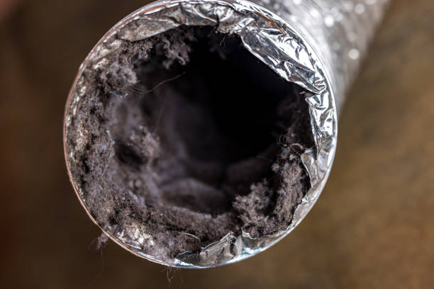 Best Professional Duct Cleaning Services  in Oakland, NE