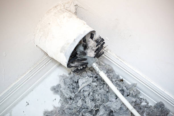 Best Dryer Vent Cleaning Services  in Oakland, NE